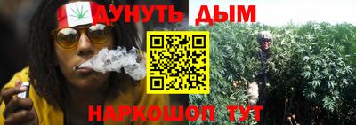 мдпв Гагарин