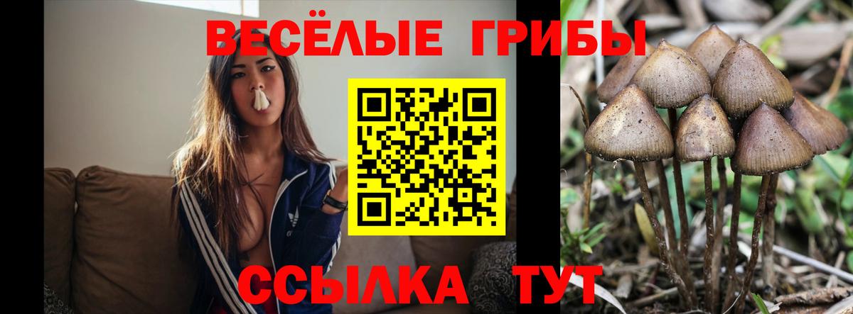 Ростов Великий  где купить наркоту  Вход с VPN  Галлюциногенные грибы ЛСД 